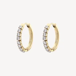 Brosway Orecchini DESIDERI New